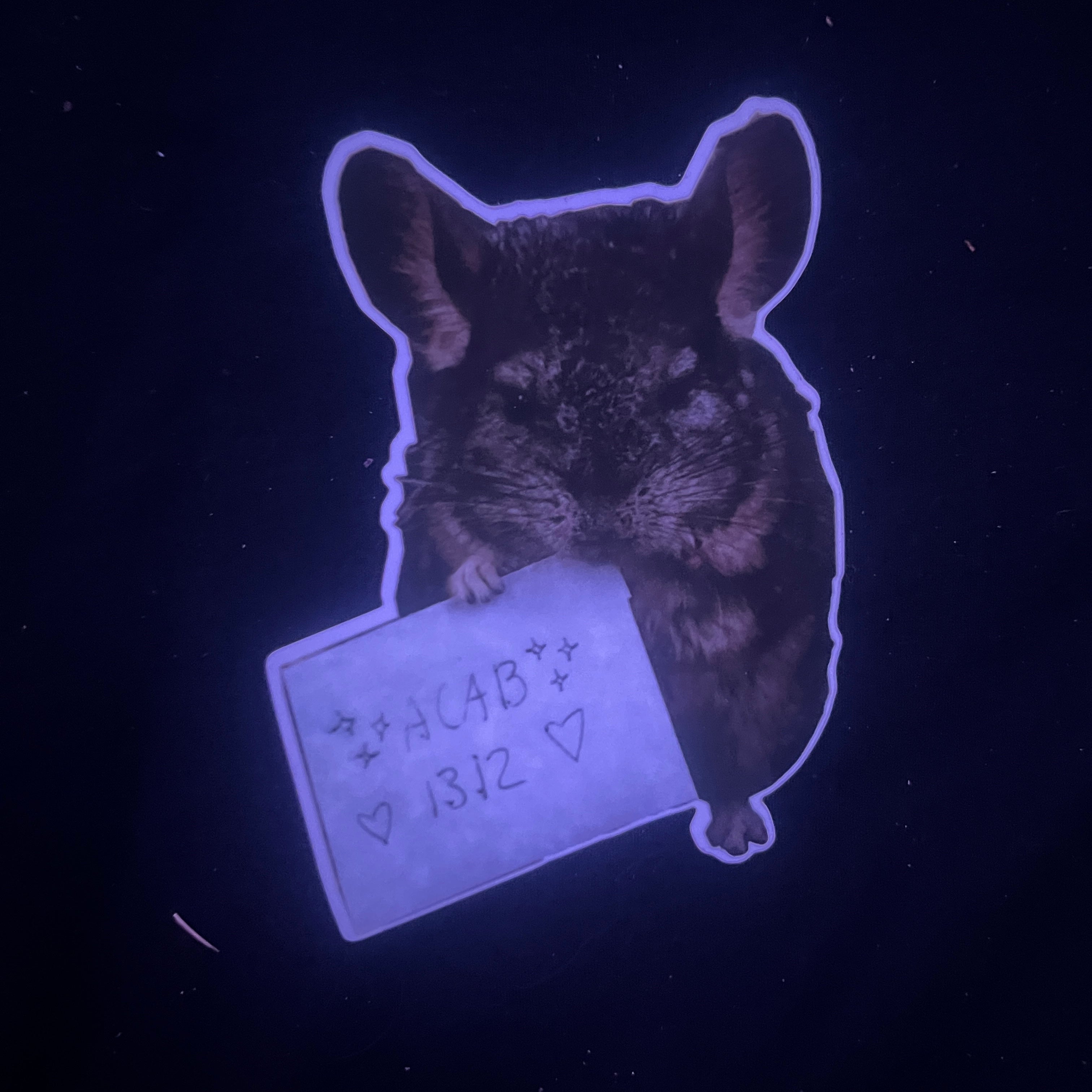 Chinchilla "ACAB 1312" Sticker